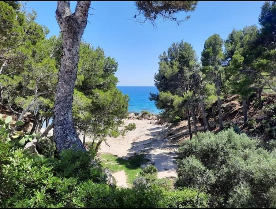 Villa Climatisee Bord De Mer Avec Piscine Privee Miami Playa Kültér fotó
